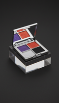 Platinum silver eyeshadow quad